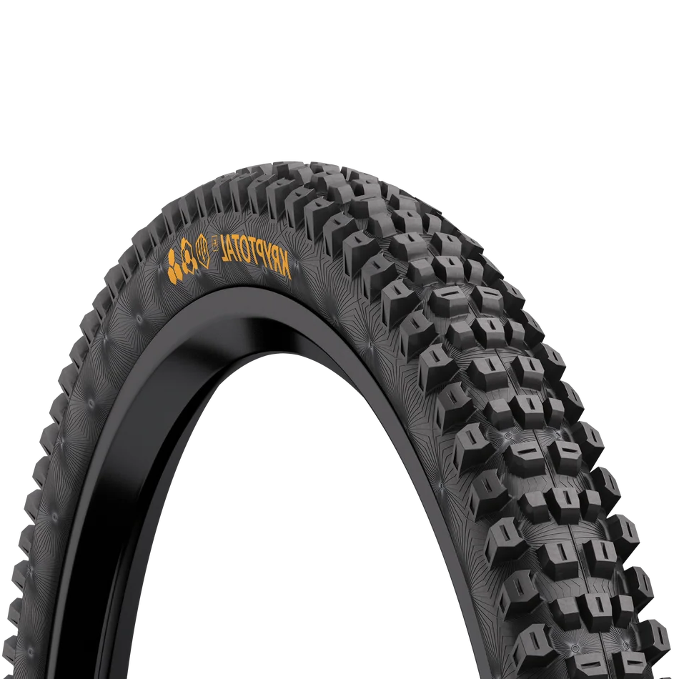 Kryptotal-Fr e-MTB - Image 2