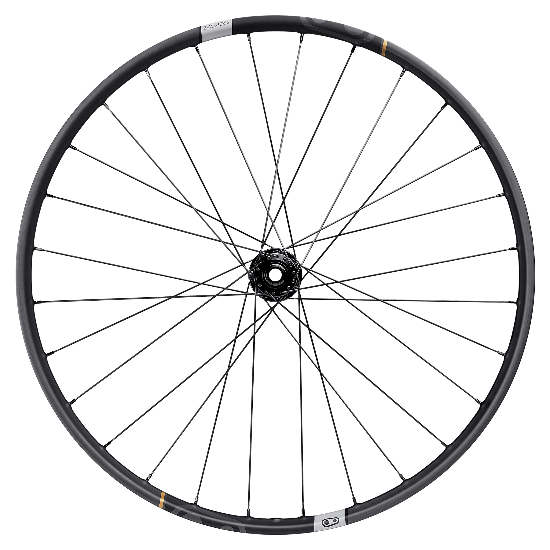 Synthesis E-MTB Carbon