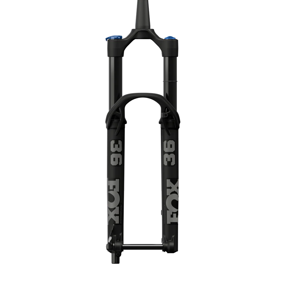 36 Performance - Image 2