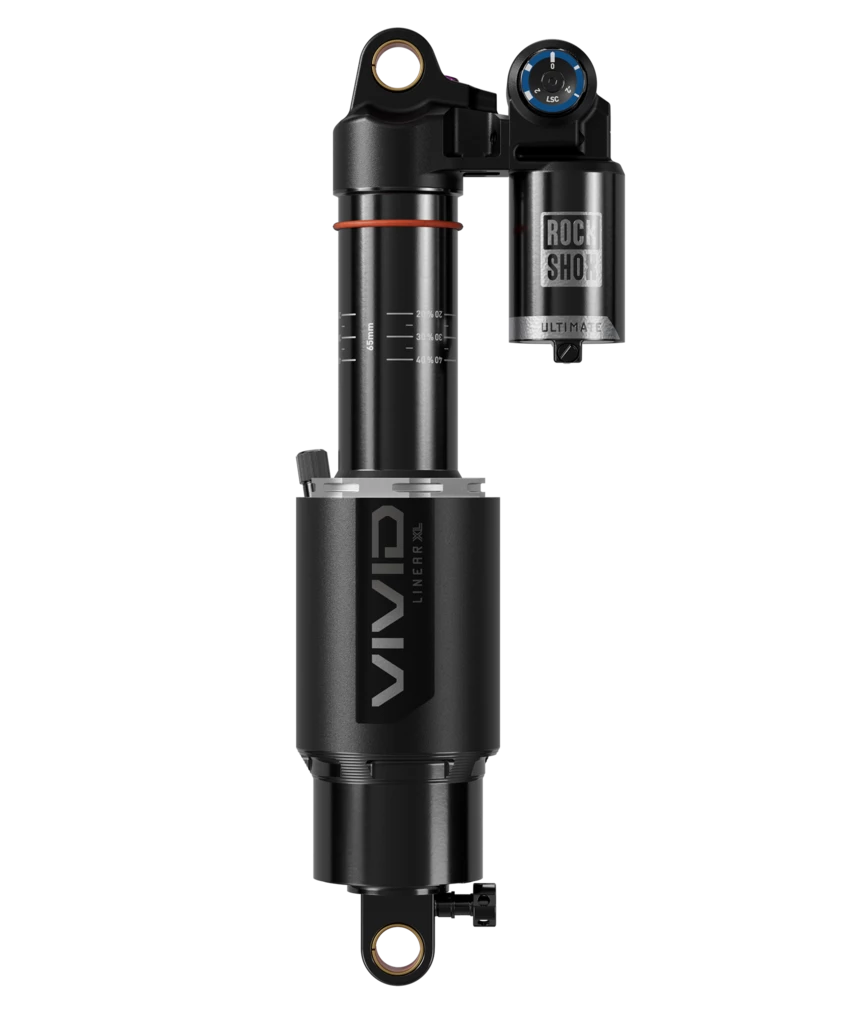 Vivid Ultimate DH - Image 2