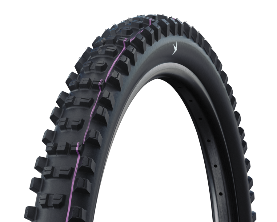 Shredda Rear